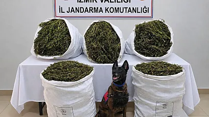 İzmir'de uyuşturucu operasyonuna 3 tutuklama
