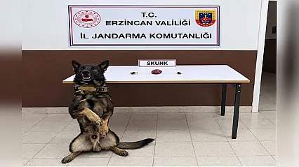 Jandarma uyuşturucu operasyonu: 4 kilo uyuşturucu madde ele geçirildi