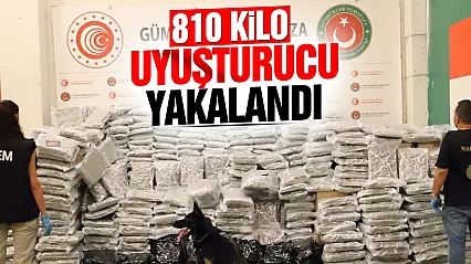 Kapıkule Gümrük Kapısı'nda dev operasyon