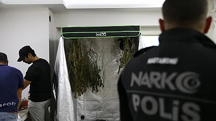 Kastamonu'da gerçekleştirilen operasyonda 1 kişi gözaltına alındı