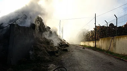 Kastamonu'da yangında 8 bin balya saman kül oldu