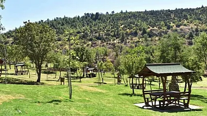 Konaklamalı Orman Parkı İşletmeciliği İhale İlanı