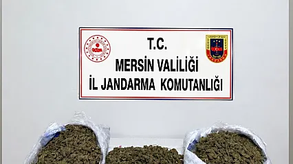 Mersin'de uyuşturucu operasyonu 2 şüpheli tutuklandı