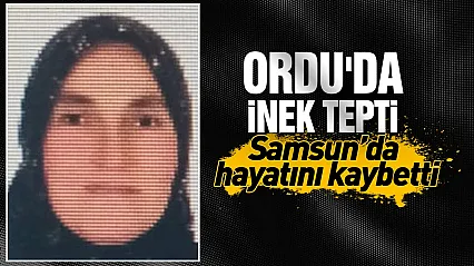 Ordu'da inek tepen kadın hayatını kaybetti