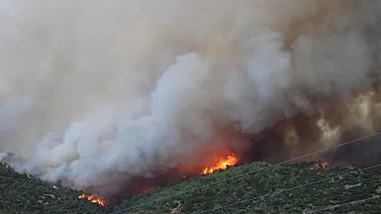 Orman yangını mahalleyi sardı, vatandaşlar hayvanlarıyla canlarını zor kurtardı