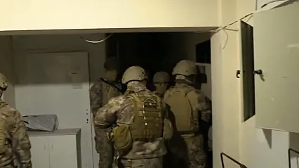 Sakarya'da DEAŞ'a yönelik Özel Harekât destekli operasyon: 1 tutuklama