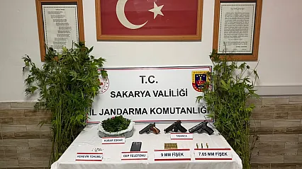 Sakarya'da Jandarmadan 3 ilçede eş zamanlı uyuşturucu operasyonu, 4 kişi tutuklandı