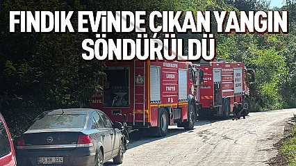Salıpazarı'nda fındık evinde yangın