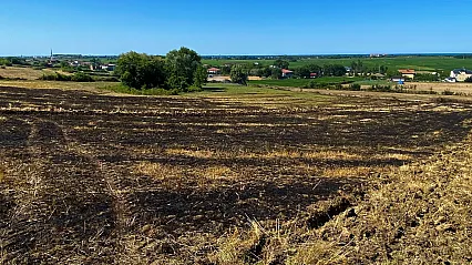 Samsun Alaçam'da korkutan arazi yangını