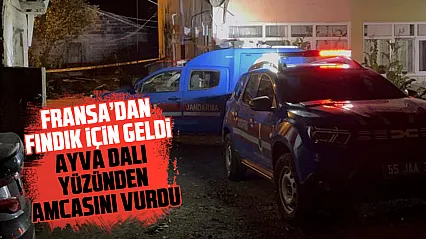 Samsun'da ayva dalı cinayeti: Amca-yeğen tartışması kanlı bitti