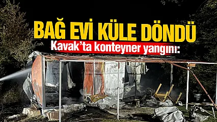 Samsun'da bağ evi olarak kullanılan konteyner küle döndü