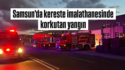 Samsun'da kereste imalathanesinde yangın paniği