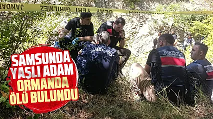Samsun'da Koyunlarını otlatmaya çıkan adam ormanda ölü bulundu