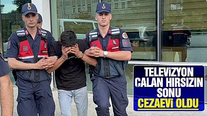 Samsun'da televizyonları çalan hırsız yakalandı