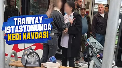 Samsun'da tramvay durağında kedi tartışması kavgaya döndü