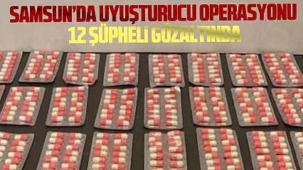 Samsun'da uyuşturucu baskını: 4 bin 856 sentetik ecza ele geçirildi