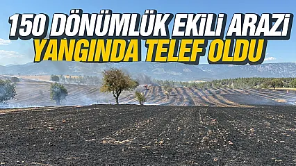 Samsun Vezirköprü'de Tarlada Çıkan Yangın Ürünleri Yok Etti