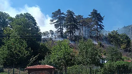 Sinop'ta çıkan yangın sonrası 1 kişi tutuklandı