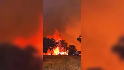 Yeşil vatan için alevlere siper oldu: Seydikemer'de destansı mücadele