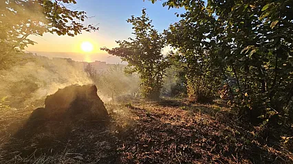 Zonguldak'ta fındık bahçesi alarmı: Vatandaşlar alevlere ayaklarıyla direndi