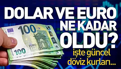 12 Ağustos 2026 Dolar ve Euro fiyatlarında son durum