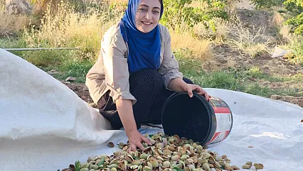 Atıl araziyi üretime kazandırdı, 1.200 badem ağacından ürün bekliyor