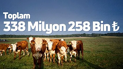 Çiftçiye 338 milyon TL destek ödemesi yapıldı