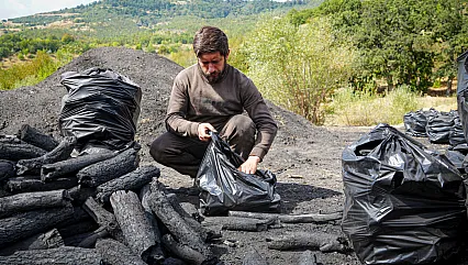 Çubuk'ta meşe odunları günler süren emekle mangal kömürüne dönüşüyor