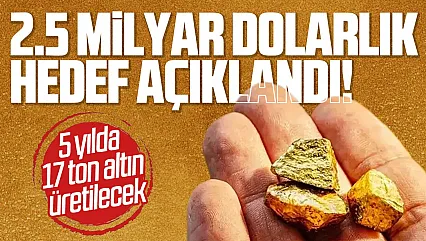 Cumhurbaşkanı Yardımcısı Cevdet Yılmaz: 5 yılda 17 ton altın üretilecek