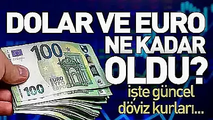 Dolar ve Euro'da son durum