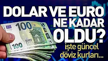 Dolar ve Euro güne nasıl başladı?