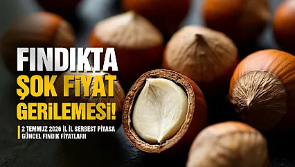 Fındıkta şok fiyat gerilemesi: 2 Temmuz 2026 İl İl Serbest Piyasa Güncel Fındık Fiyatları!