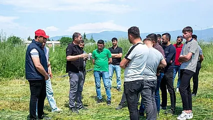 Genç Çiftçiler İçin Akademi Desteği: Amasya'da Eğitimler Devam Ediyor