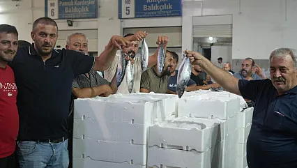 Karadeniz'de ezber bozan sezon: Samsun'da hem palamut hem hamsi bereketi