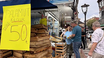 Karadeniz'de Palamut Bolluğu Bartın Tezgahlarını Şenlendirdi