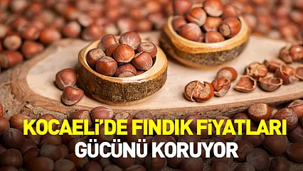 Kocaeli'de Fındık Fiyatları Gücünü Koruyor