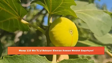Maaşı 110 Bin TL'yi Buluyor: Eleman Aranan Meslek Şaşırtıyor!