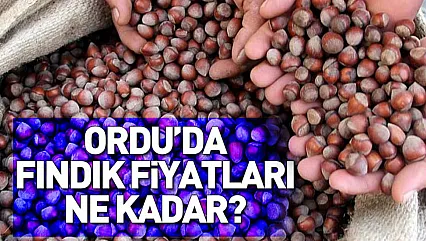 Ordu'da fındık fiyatları ne kadar?