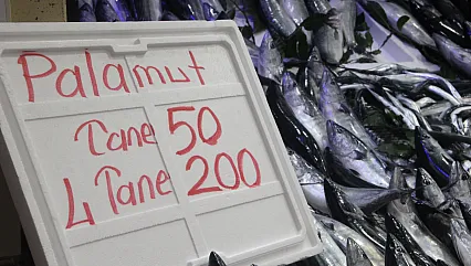 Palamut denizden fışkırdı, fiyatı 50 liraya indi