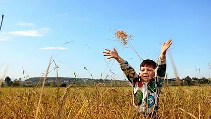 Samsun'da tarımsal üretime dev destek! Milyarla telafuz ediliyor