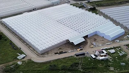 Samsun'da yüksek teknolojiyle tarım dönemi