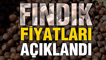 TMO 2026 fındık fiyatlarını açıkladı!