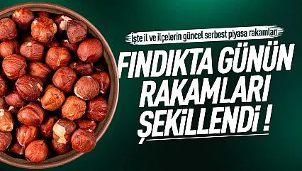 Üreticinin gözü serbest piyasada: İşte il il canlı fındık fiyatları raporu!