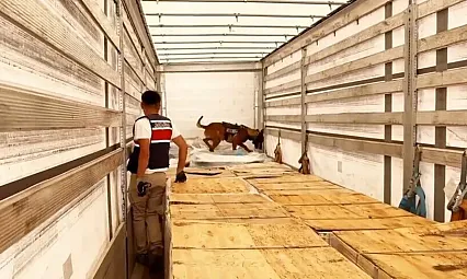 24 ilde uyuşturucu operasyonu: 80 şüpheli tutuklandı