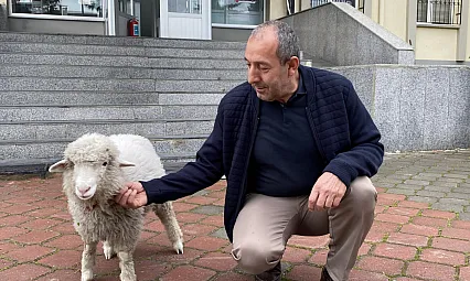 Annesinin Terk Ettiği Kuzu, Adliyenin Maskotu Oldu