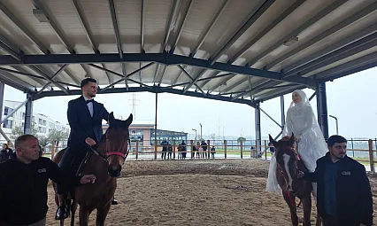 At üstünde dünya evine girdiler