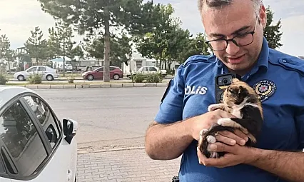 Beyşehir'de otomobilin motoruna giren yavru kedi için seferber oldular