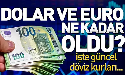 Dolar ve Euro'da hafta sonu sakinliği