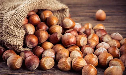 Düzce fındık fiyatları belli oldu:İşte güncel fiyat listesi