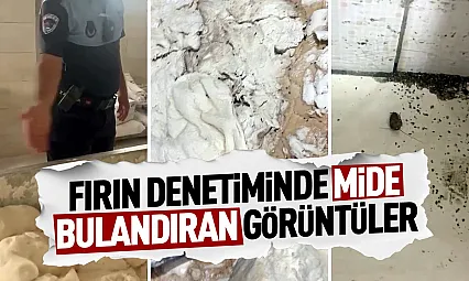 Fırın denetiminde böcek ve izmarit skandalı
